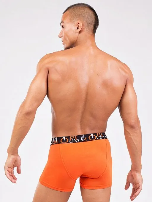 Эротическое трусы мужские боксеры opium r118, оранжевые в Перми