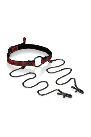 кляп-кольцо (кляп-рамка) с зажимами на соски scandal open mouth gag with clamps в Перми