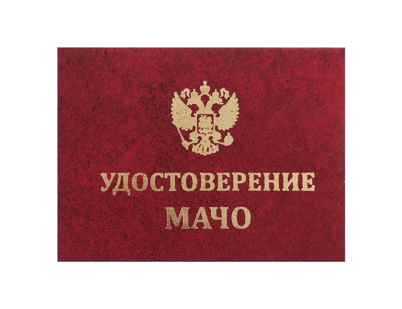 Удостоверение Мачо